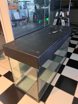 HUGE tank/terrarium