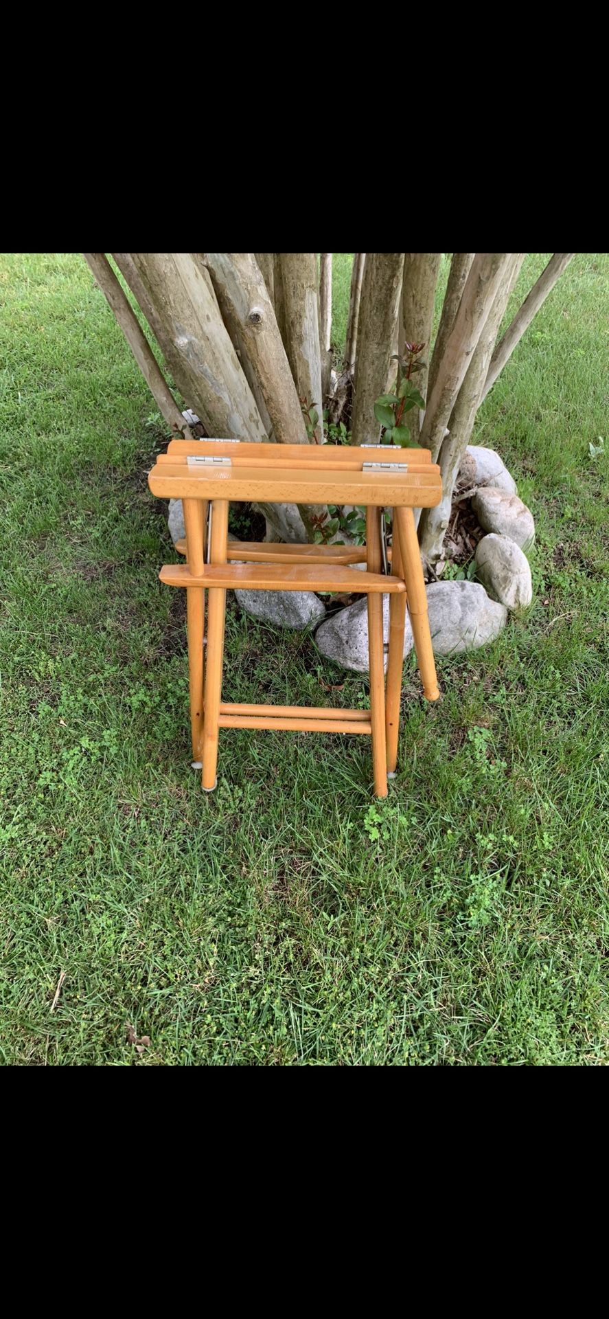 Vintage directors chair