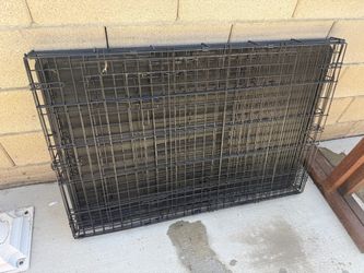 big dog kennel