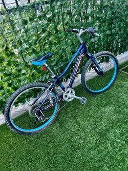 LIV ENCHANT YOUTH BIKE 24” Wheels