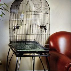 Parrot,  Parakeet, Cockatail  Bird Cage