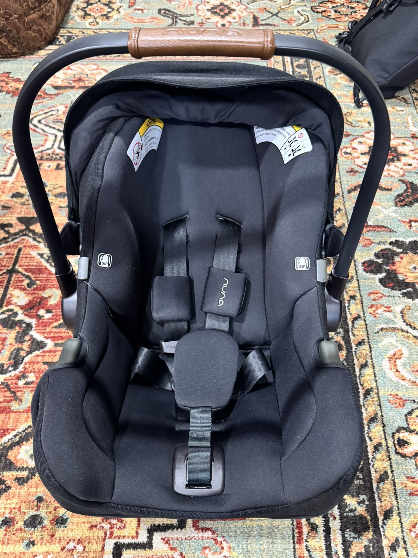 dog show stroller with grooming top PETSTRO Buggy SilverWing free sewing patterns pdf Line Number:500M 20LB HOT ! Alpine Skis