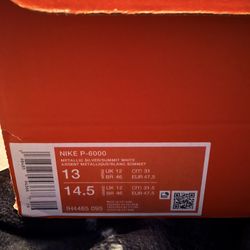 Nike Mens P-6000, white/Grey size13