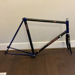carbon fiber trek frame size xl campagnolo