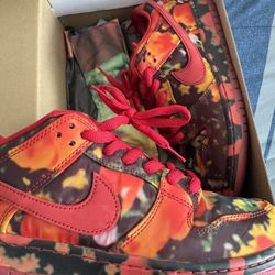 Nike SB Wizard Of Oz
