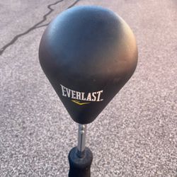 🔥 Everlast Core Reflex Bag – Boxing Trainer – Priced to Sell