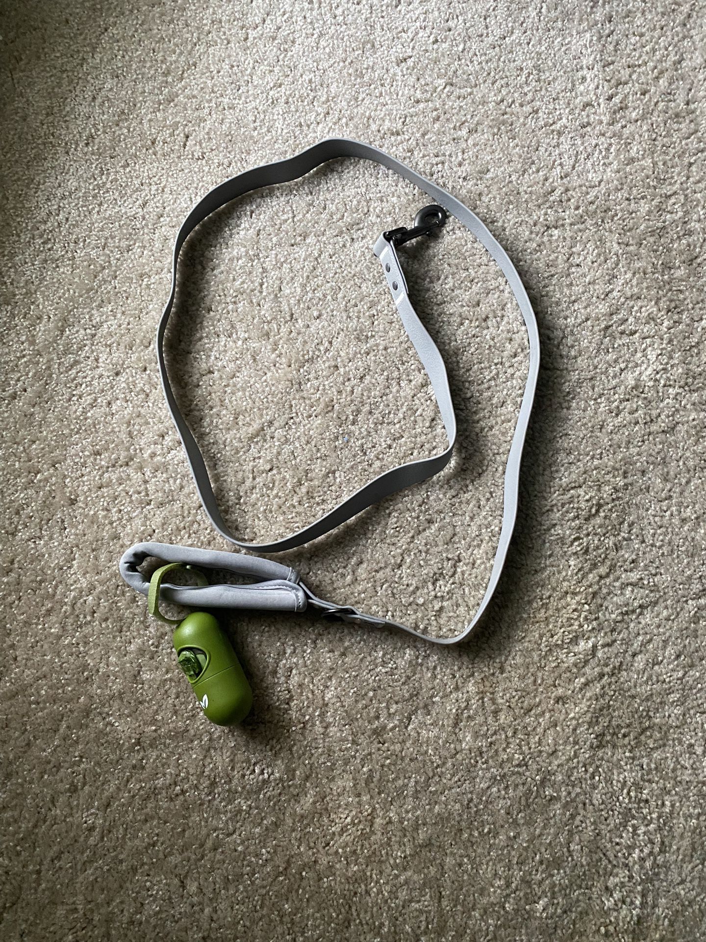 New! 6’ Silver Dog Leash