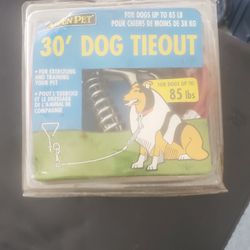 30" Dog Tie out