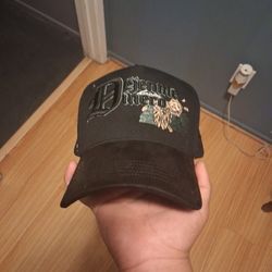 Gallo Fino Dejenme Acer Dinero 