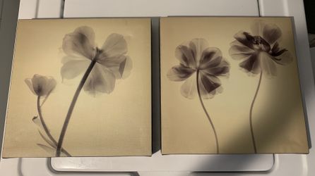 2 flower frames modern