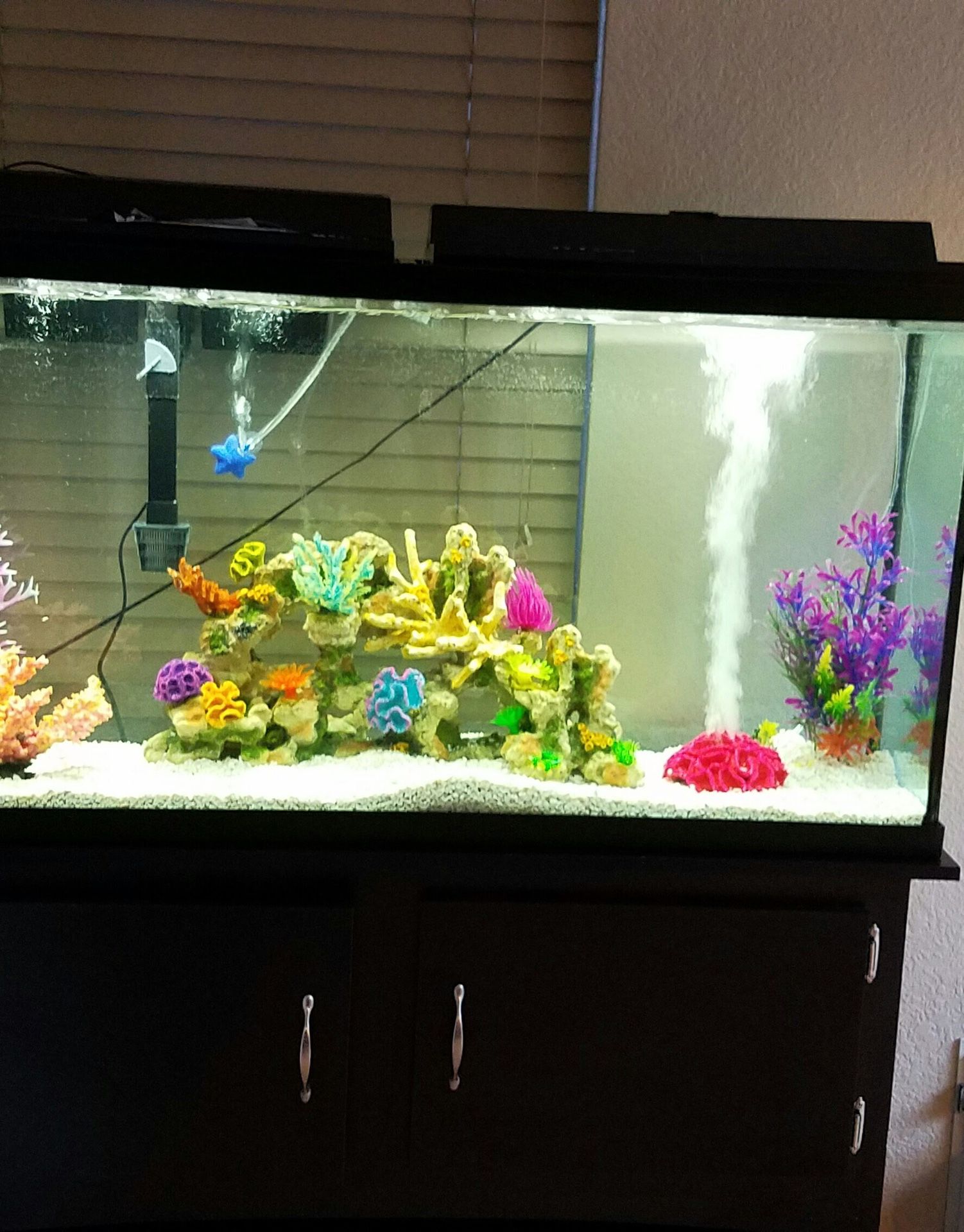Fish tank with stand **60 Gallons**