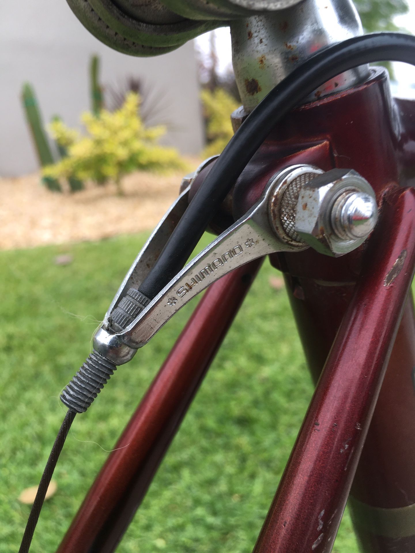 takara deluxe touring bike