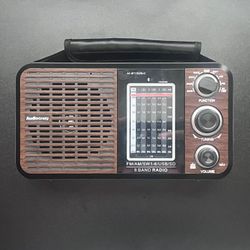Radio Portable With Bluetooth AudioCrazy