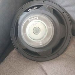 12 Inch Duel Subwoofer 