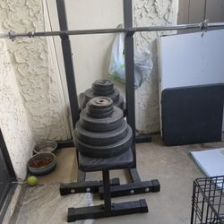 Bench Press 
