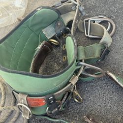 Harness Belt 