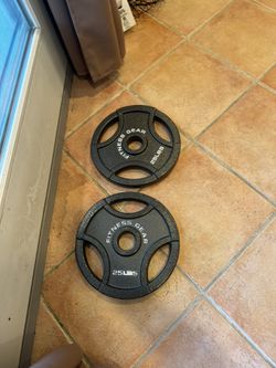 (2) 25lb Weights