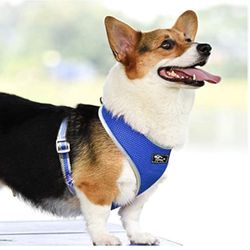Puppy Harness and Leash Set - Soft Mesh Breathable Full Body
