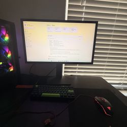 Gaming Computer And Monitor 