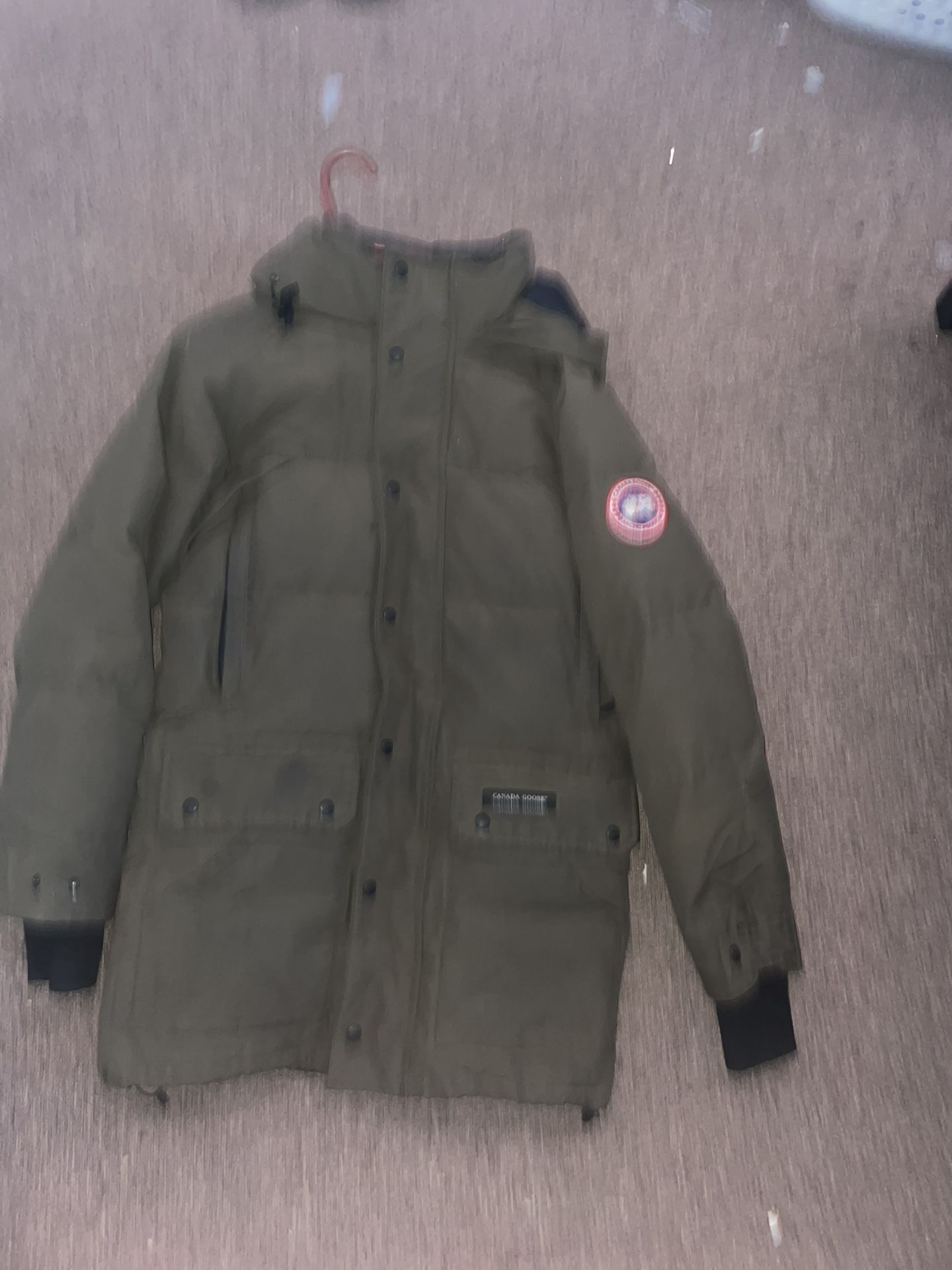 Canada Goose