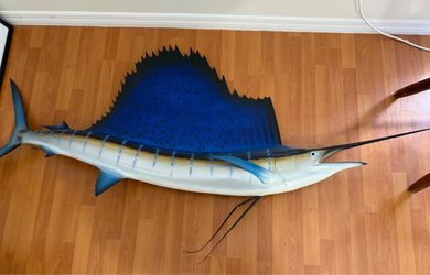 Sailfish - Marine -Fish -  Sport Fishing - Taxidermy Art