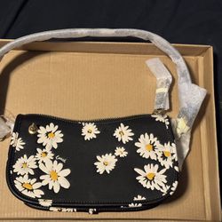Coach Purse/Bag