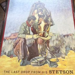 SKYLINE 6X COWBOY HAT STETSON 