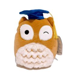 New Graduation Owl Squishmallow 