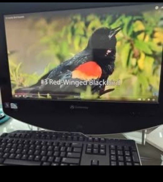 Gateway All-in-One 21.5'' PC All in One *Touchscreen* Windows 10 Tested Working