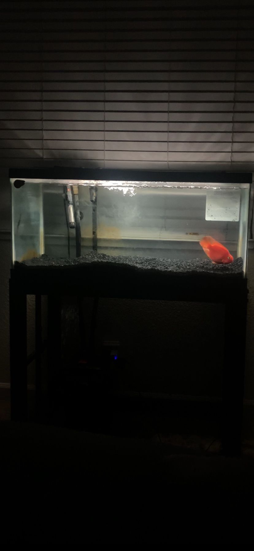 40 Gallon Full Setup