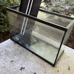 29 Gallon Tank