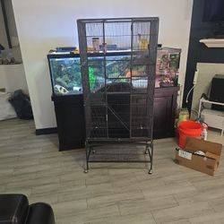 Birds Cage,  Jaula Para Pajaros