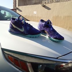 Nike 500 Zoom Purple Monopoly Lebron Shoes