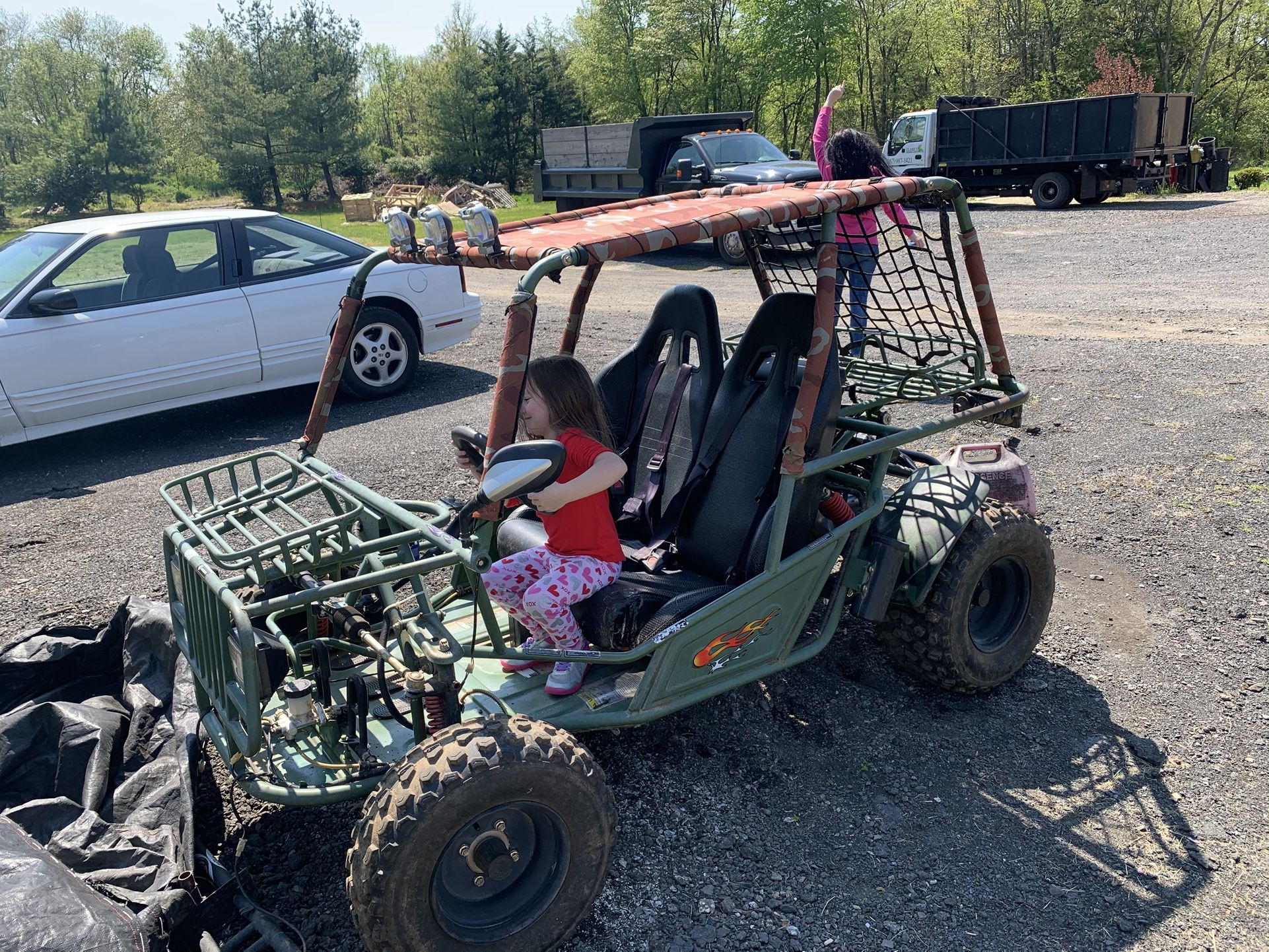 Fine Buggy