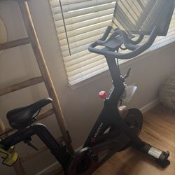 2020 Peloton - Great Condition 