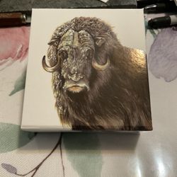 2015 $100 CAD Canada 1oz MUSK OX SILVER coin