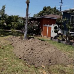 FREE DIRT