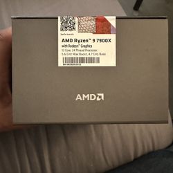 AMD RYZEN 9 7900X