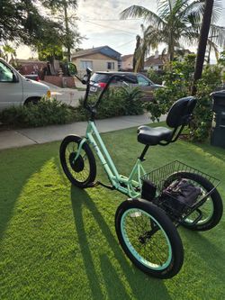 Three wheeler ebike  $300
