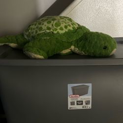 Turtle plushy