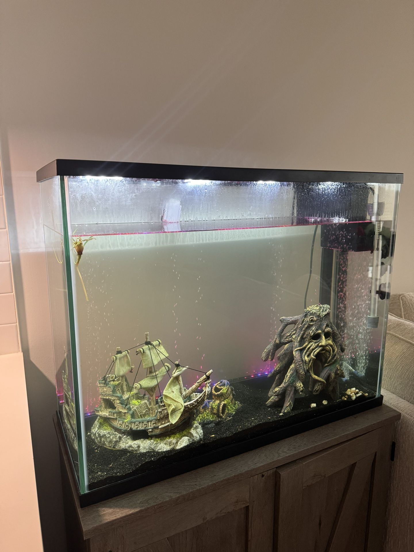 Fish Tank Complete Starter Set Up