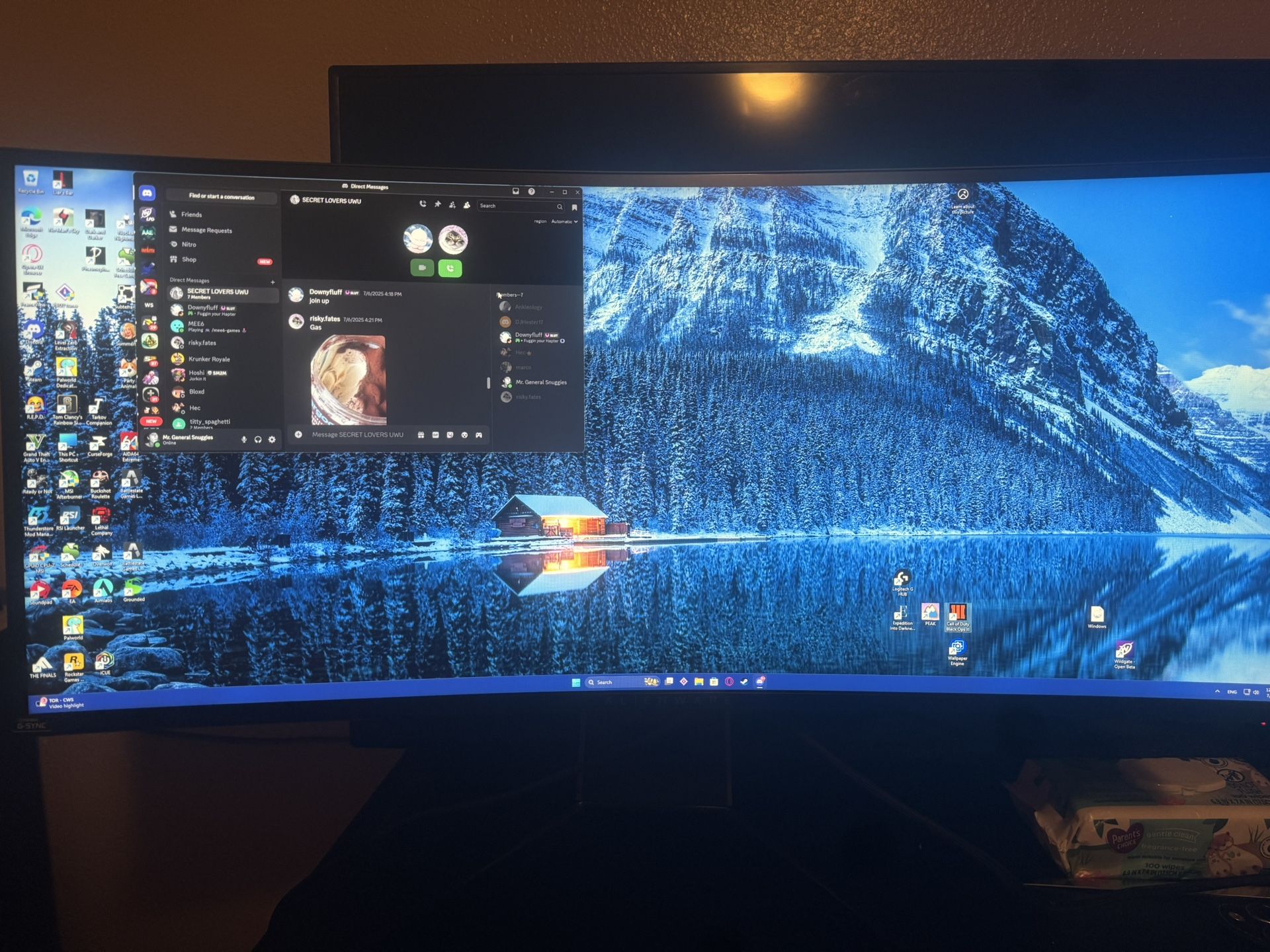 Alienware Gaming Monitor
