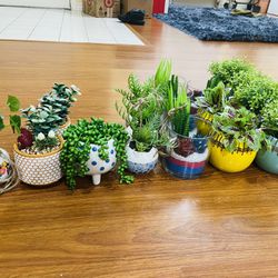 Brand New Artificial Succulent $5 To $8