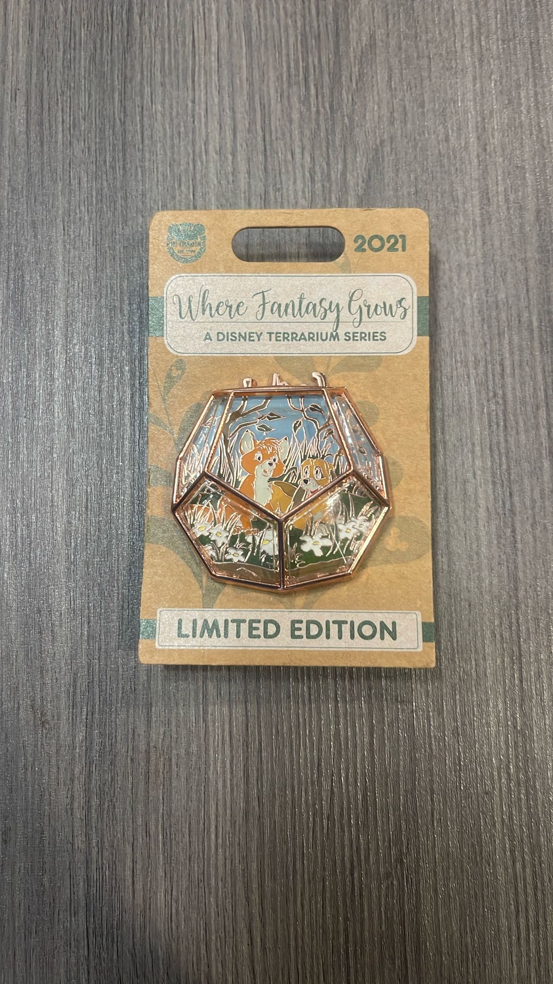 DISNEY COLLECTION PIN