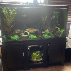 80 Gallon Fish Tank With Stand 