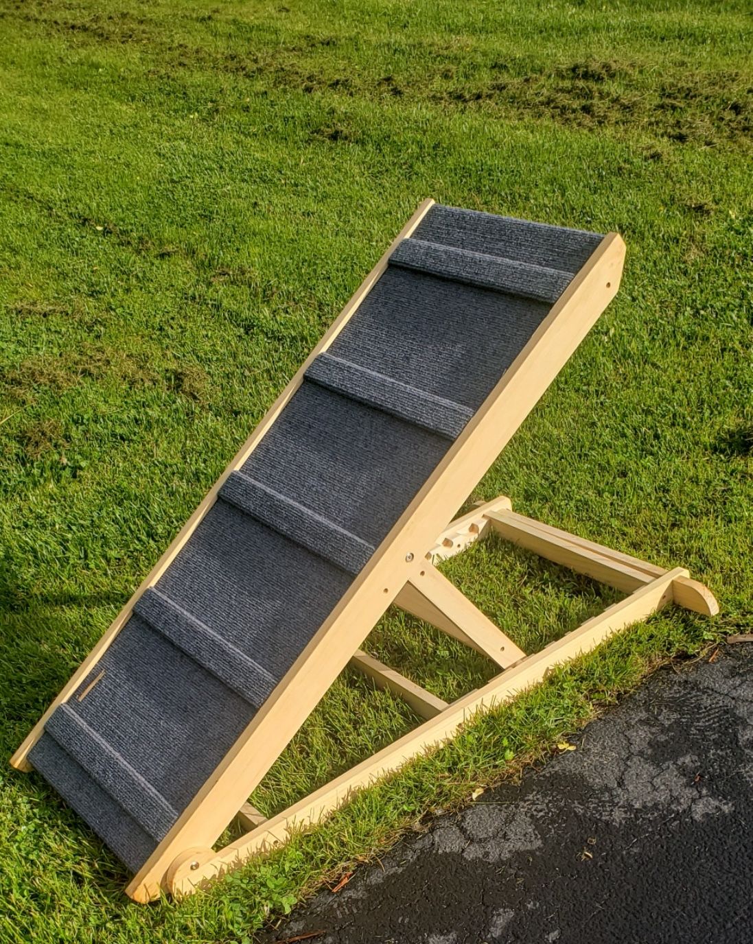 Dog Ramp