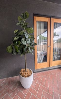 2 Faux Trees