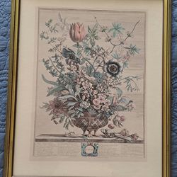 February, from `Twelve Months of Flowers' by Robert Furber - Canvas Print