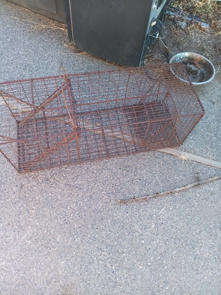 MEDIUM SIZED TRAP
