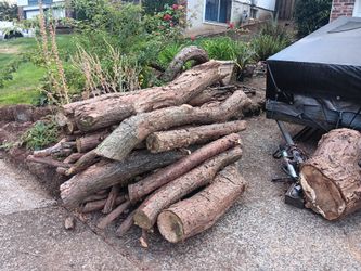 Firewood
